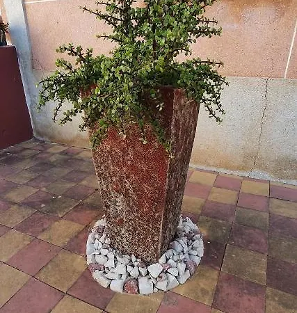 Rosa Boutique Almancil